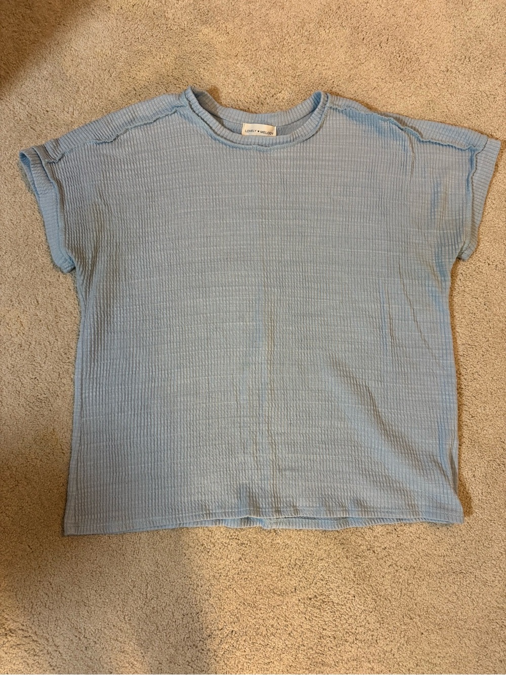 Light Blue Short Sleeve Knit Top